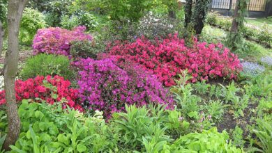 UWG beantragt mehr blühende Vorgärten